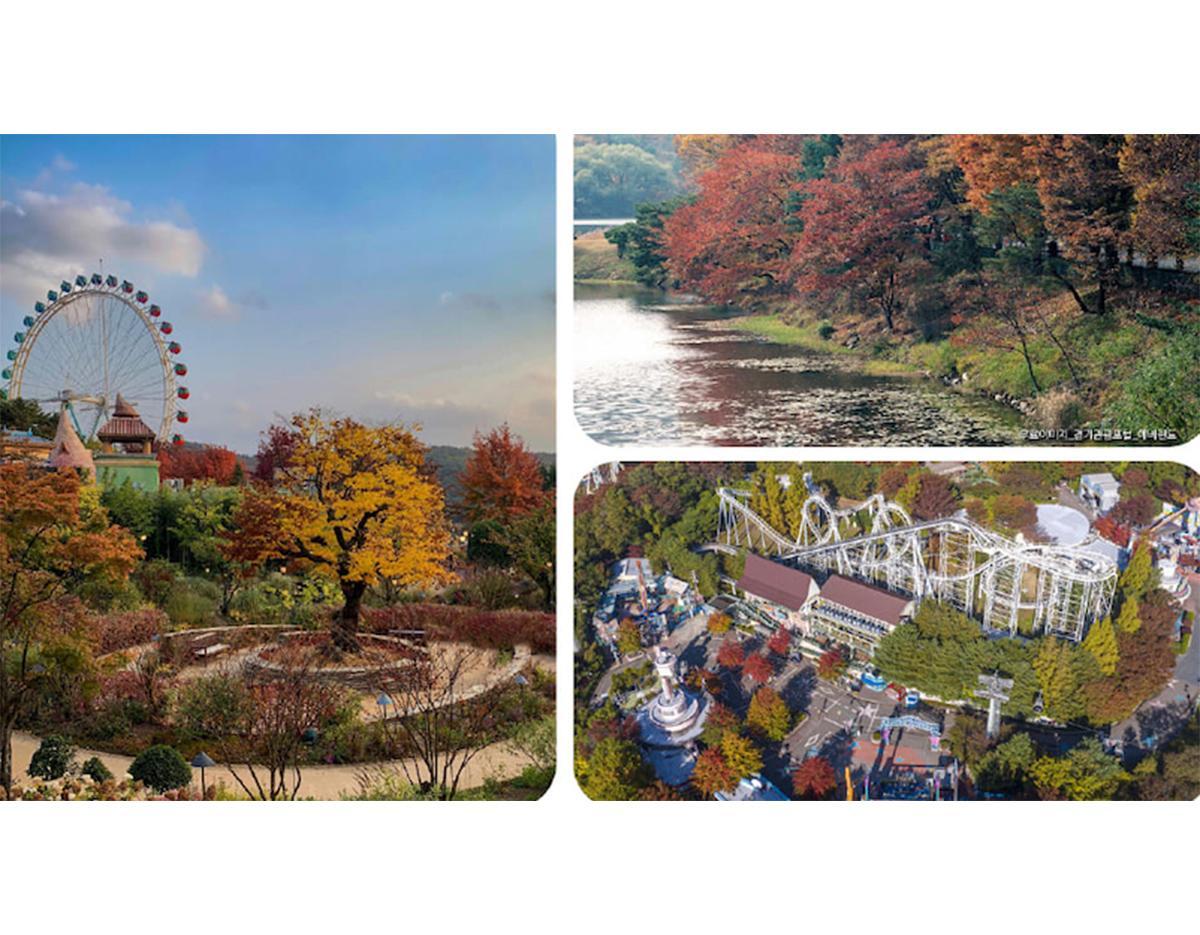 [Everland X Lotte World] Double Theme Park Day Tour