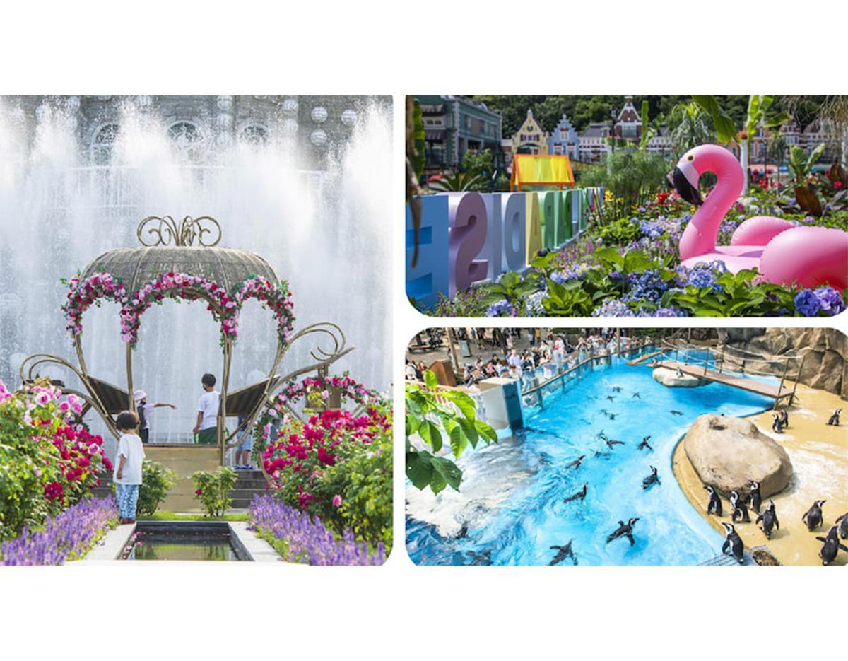 [Everland X Lotte World] Double Theme Park Day Tour