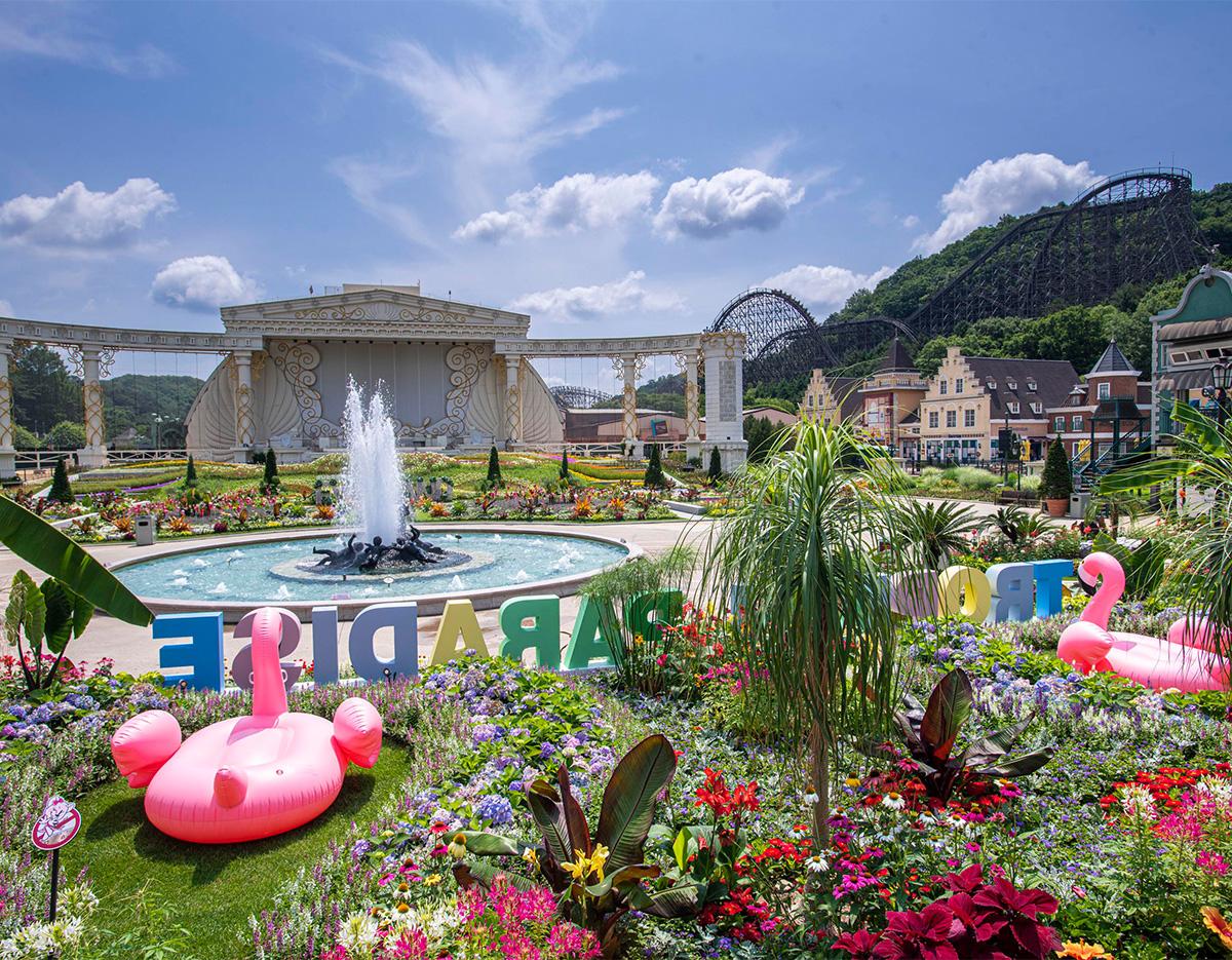 Ultra Theme Park One Day Tour | Everland + Lotte World