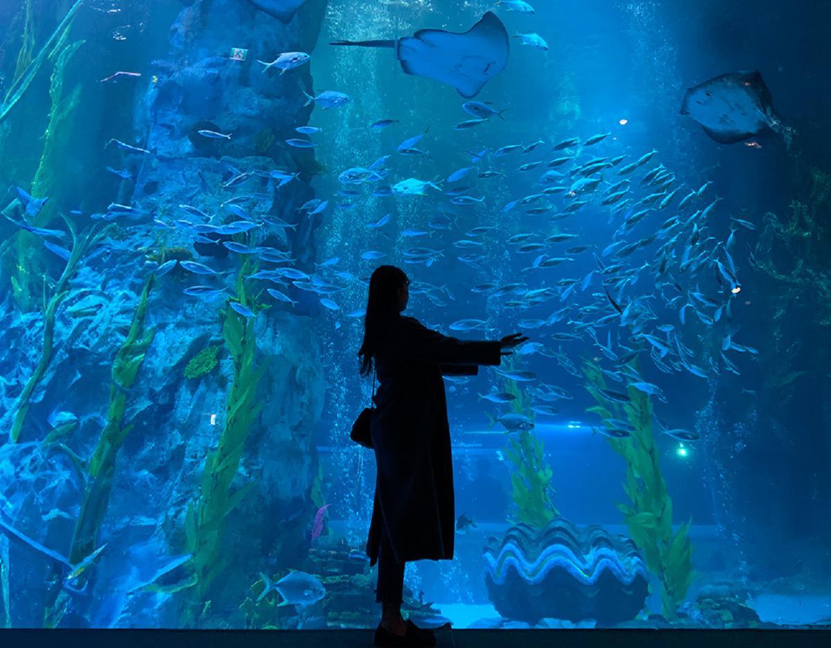 [Everland X Lotte World] Double Theme Park Day Tour