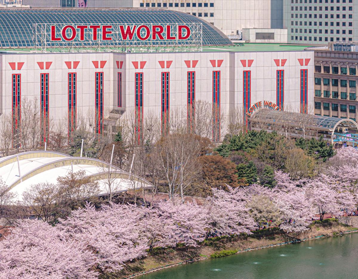 [Everland X Lotte World] Double Theme Park Day Tour