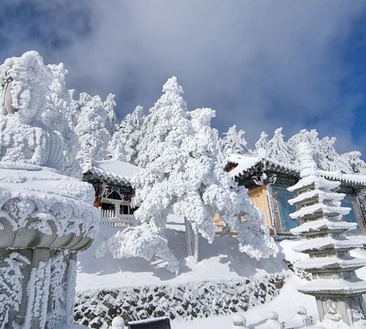 Festival de la Nieve de Taebaeksan y excursión de un día al estanque Hwangji | Salida desde Seúl-image