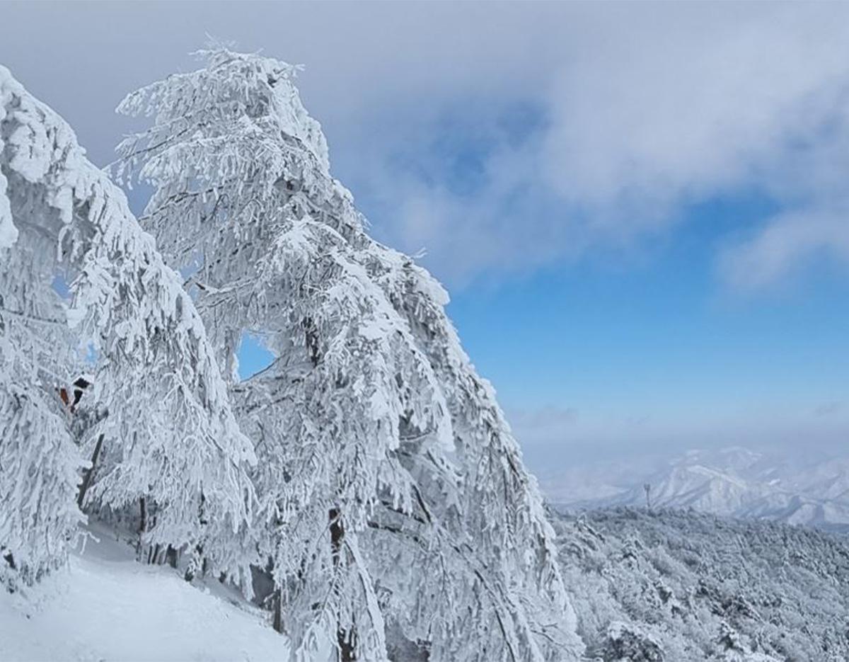  Taebaeksan Mountain Snow Festival & Hwangji Pond Tour