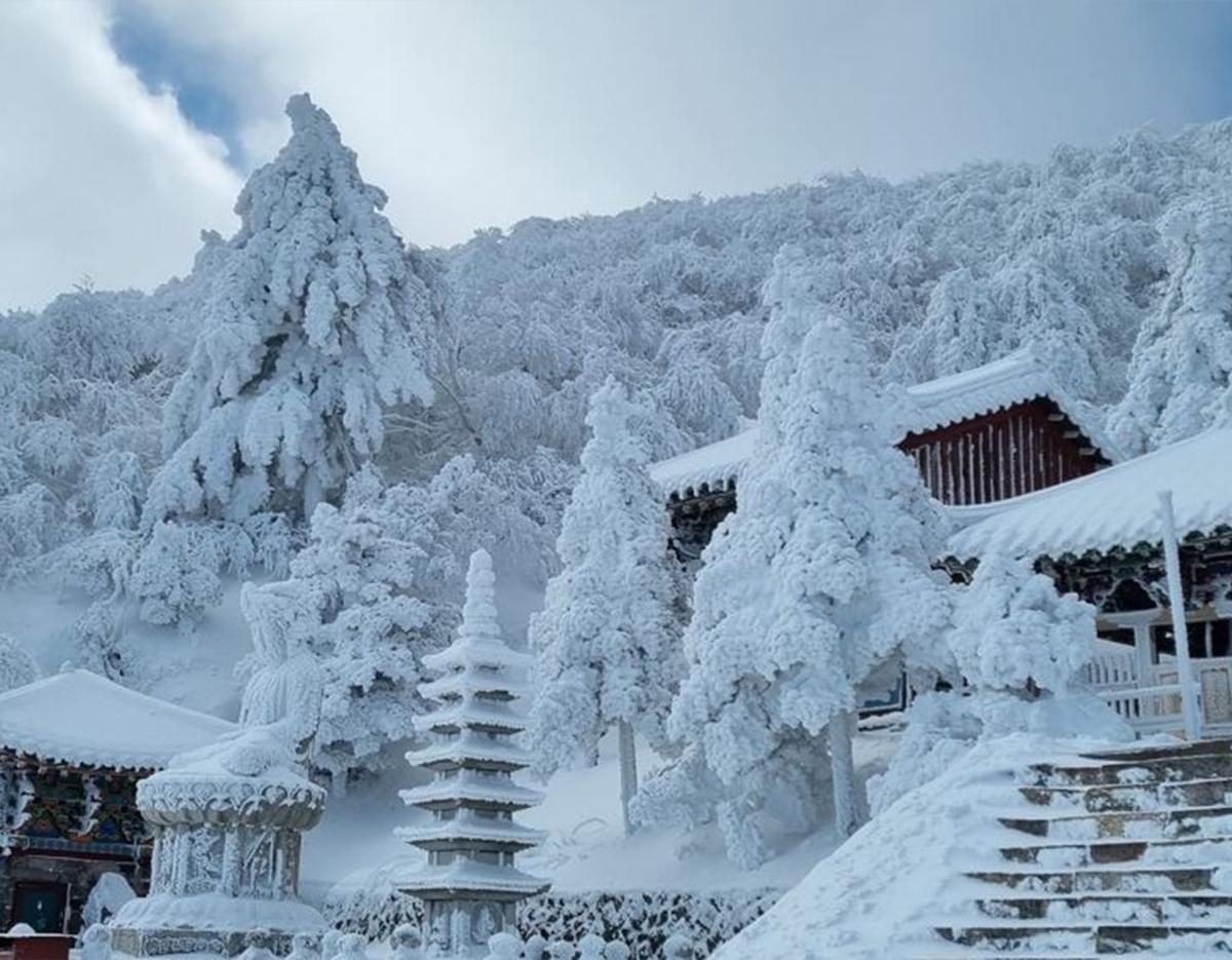  Taebaeksan Mountain Snow Festival & Hwangji Pond Tour