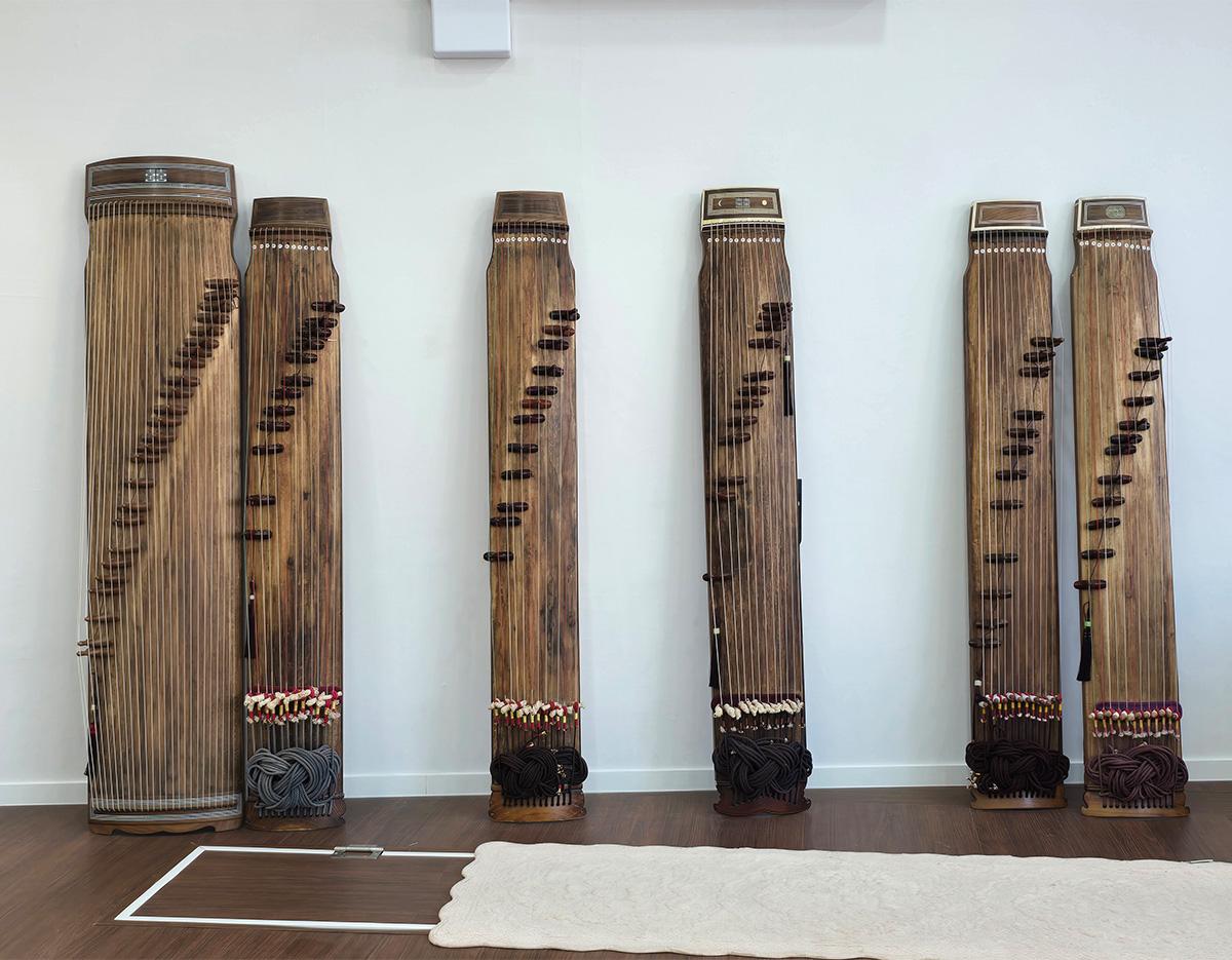 Beautiful Gayageum