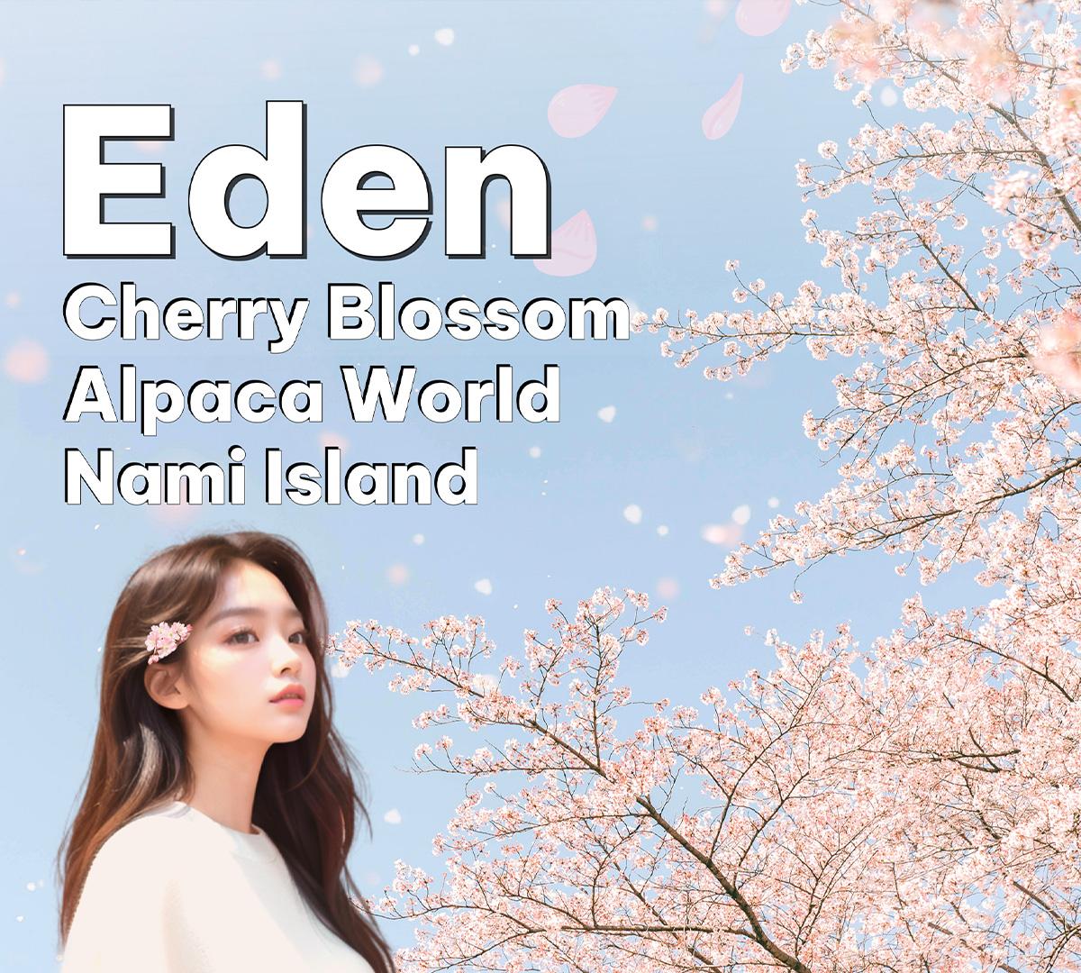 ทัวร์หนึ่งวันถนนเอเดนซากุระบาน + เกาะนามิ + จักรยานรางรถไฟคังชอน/อัลปาก้าเวิลด์ | ออกเดินทางจากโซล-image