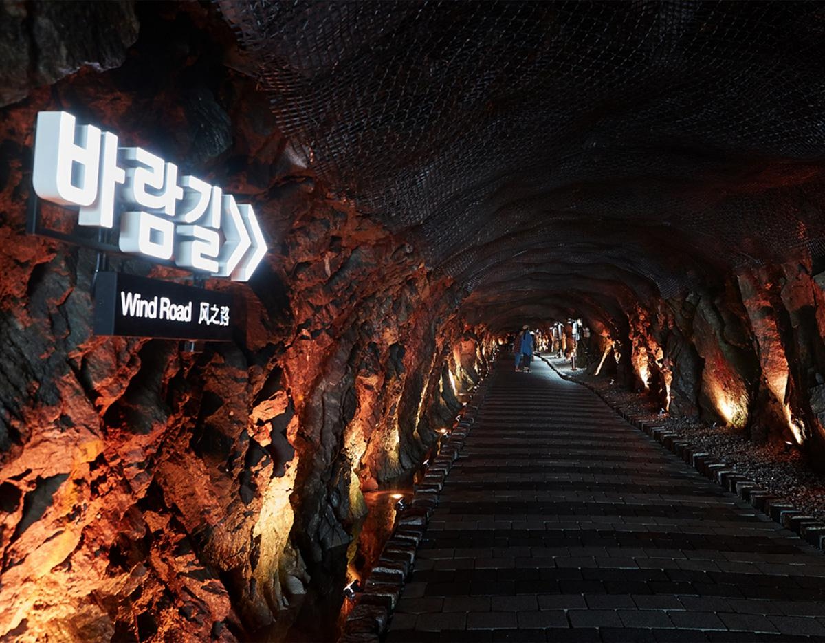 Bucheon Azalea & Cherry Blossom Festival & Gwangmyeong Cave Tour