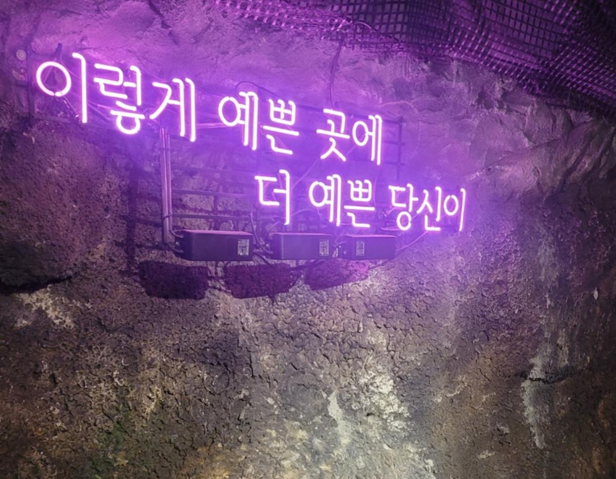 Bucheon Azalea & Cherry Blossom Festival & Gwangmyeong Cave Tour