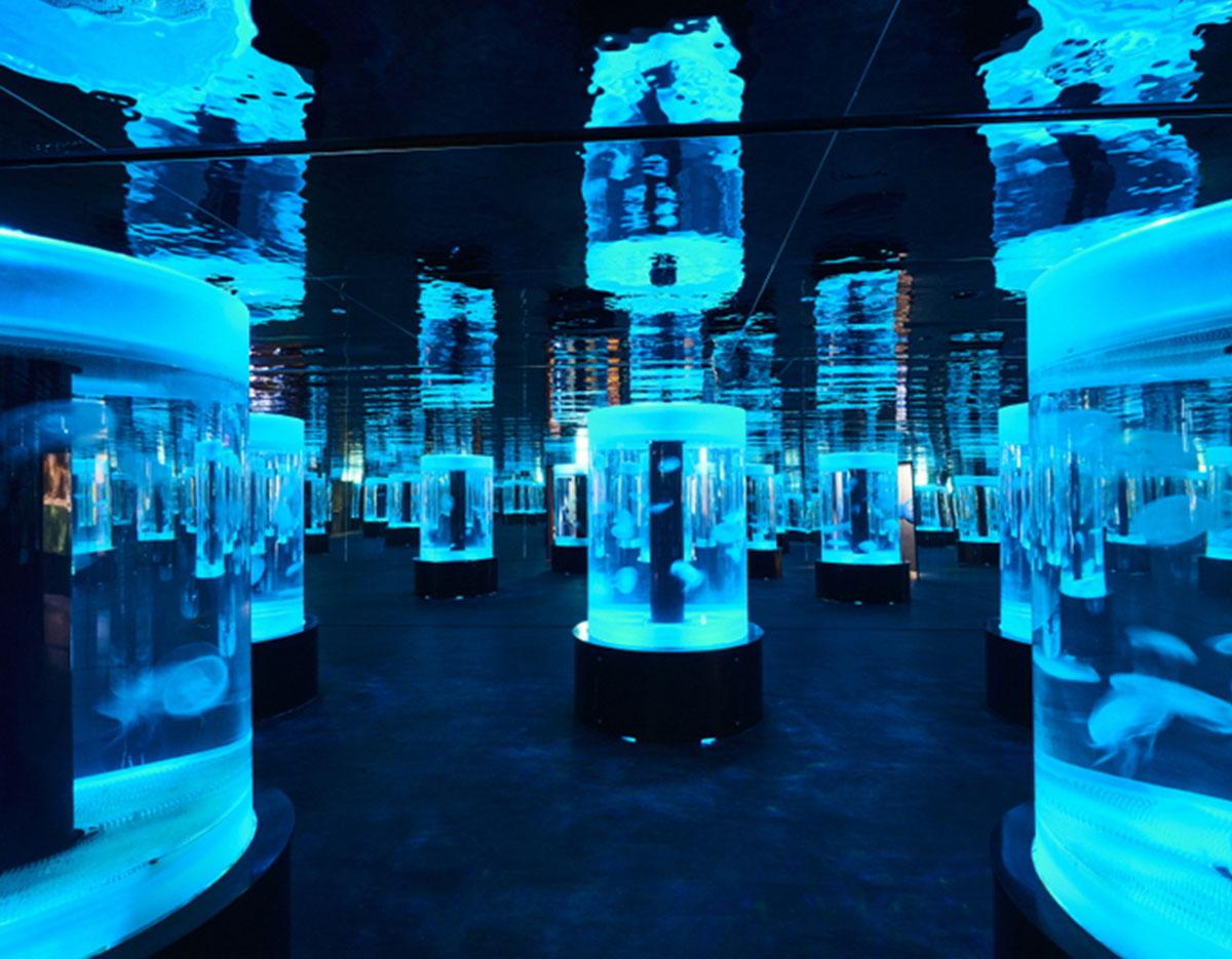 aquaplanet