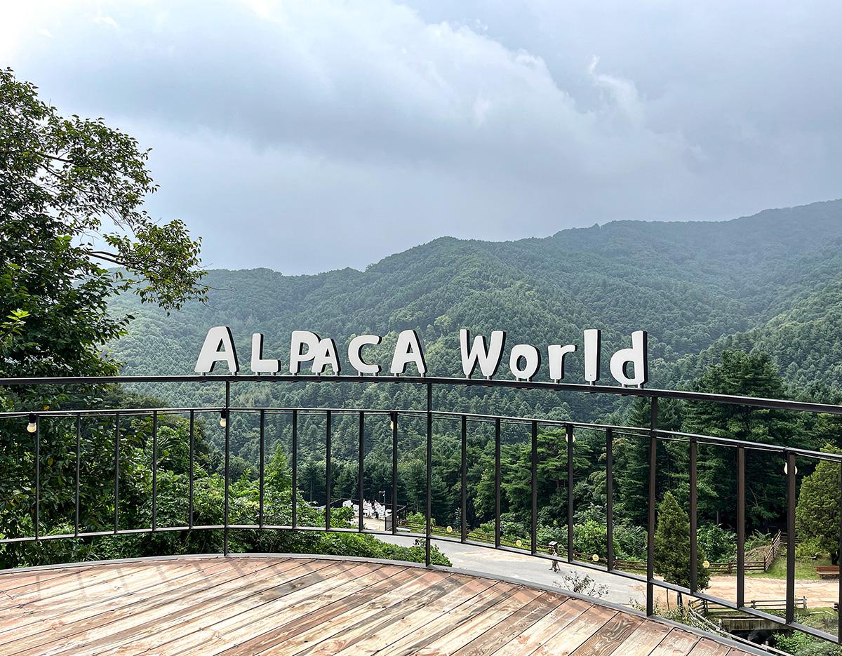 alpacaworld