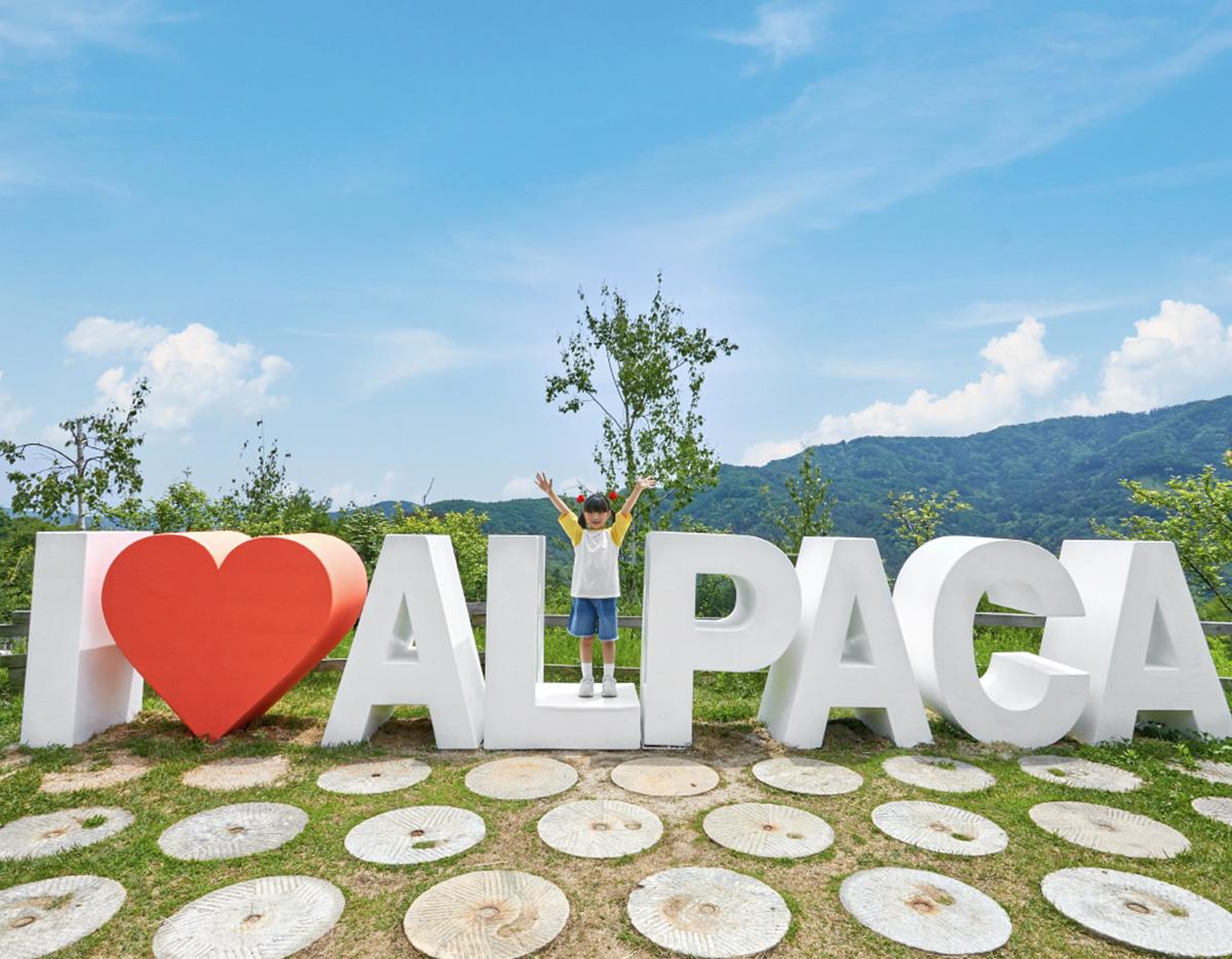 alpacaworld