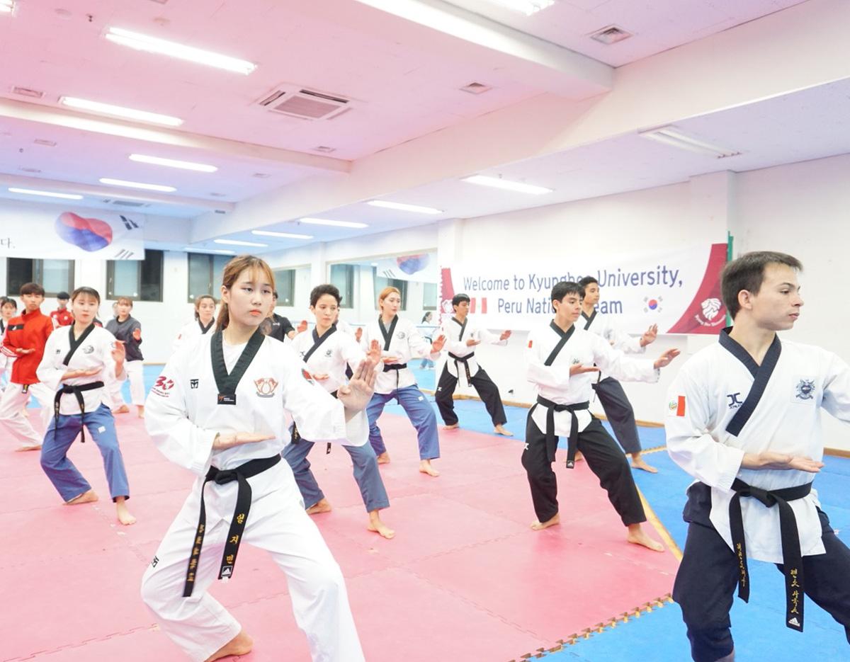 taekwondo