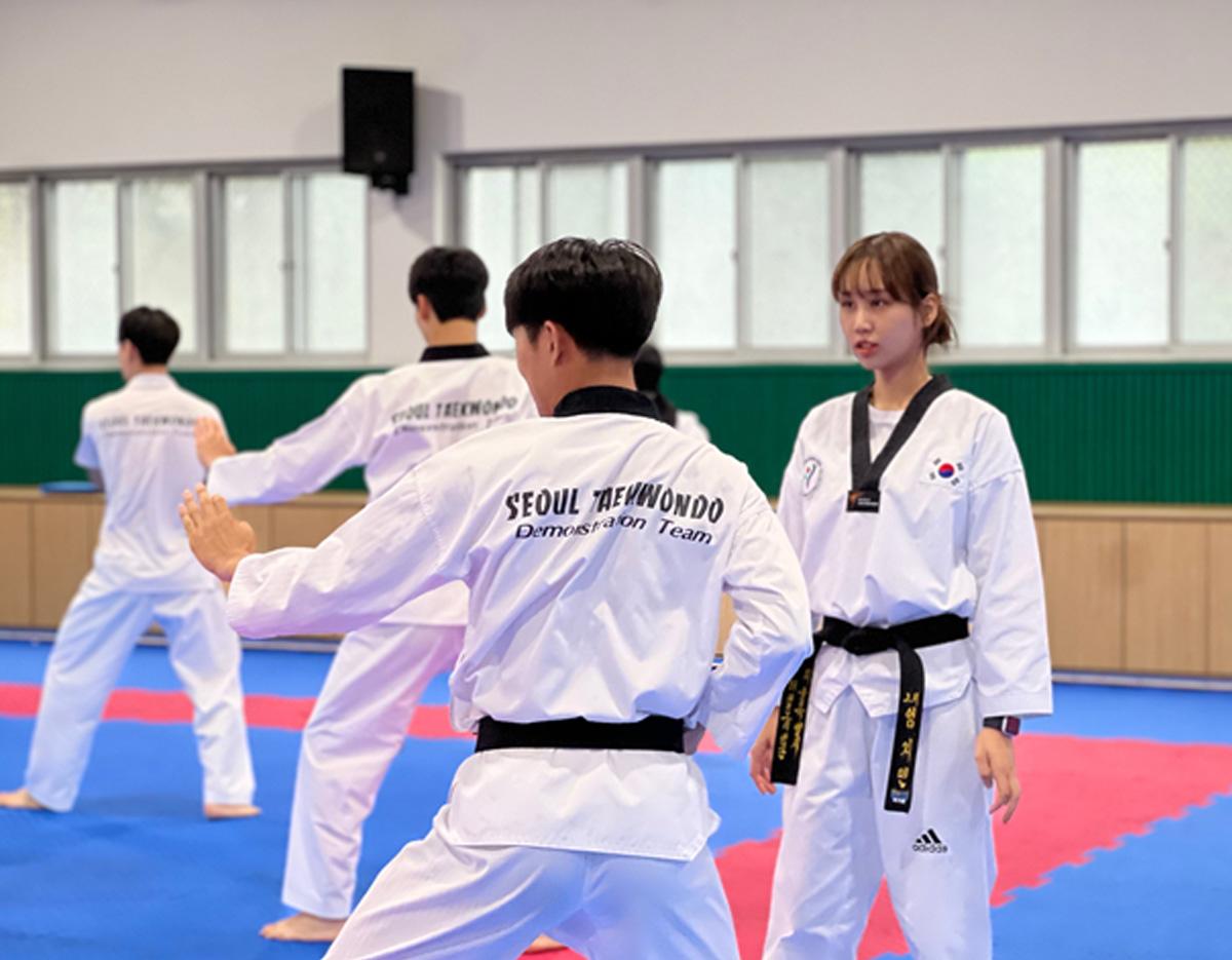 taekwondo