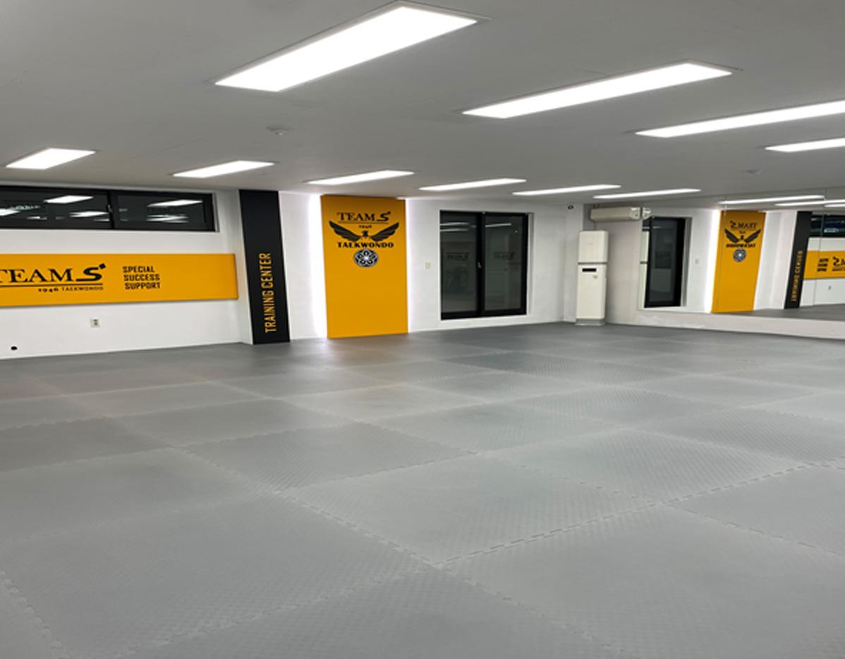 taekwondo