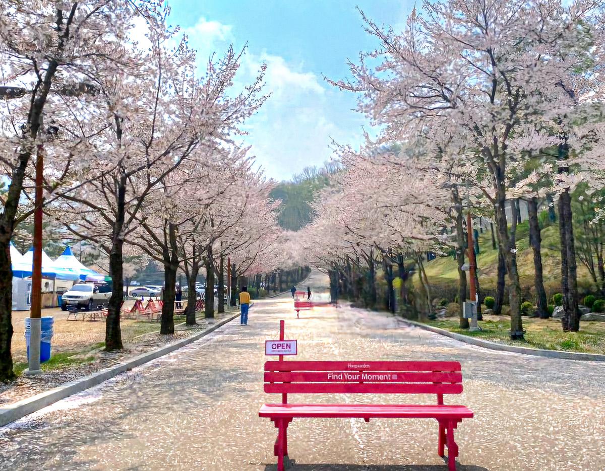 Vivaldi Park