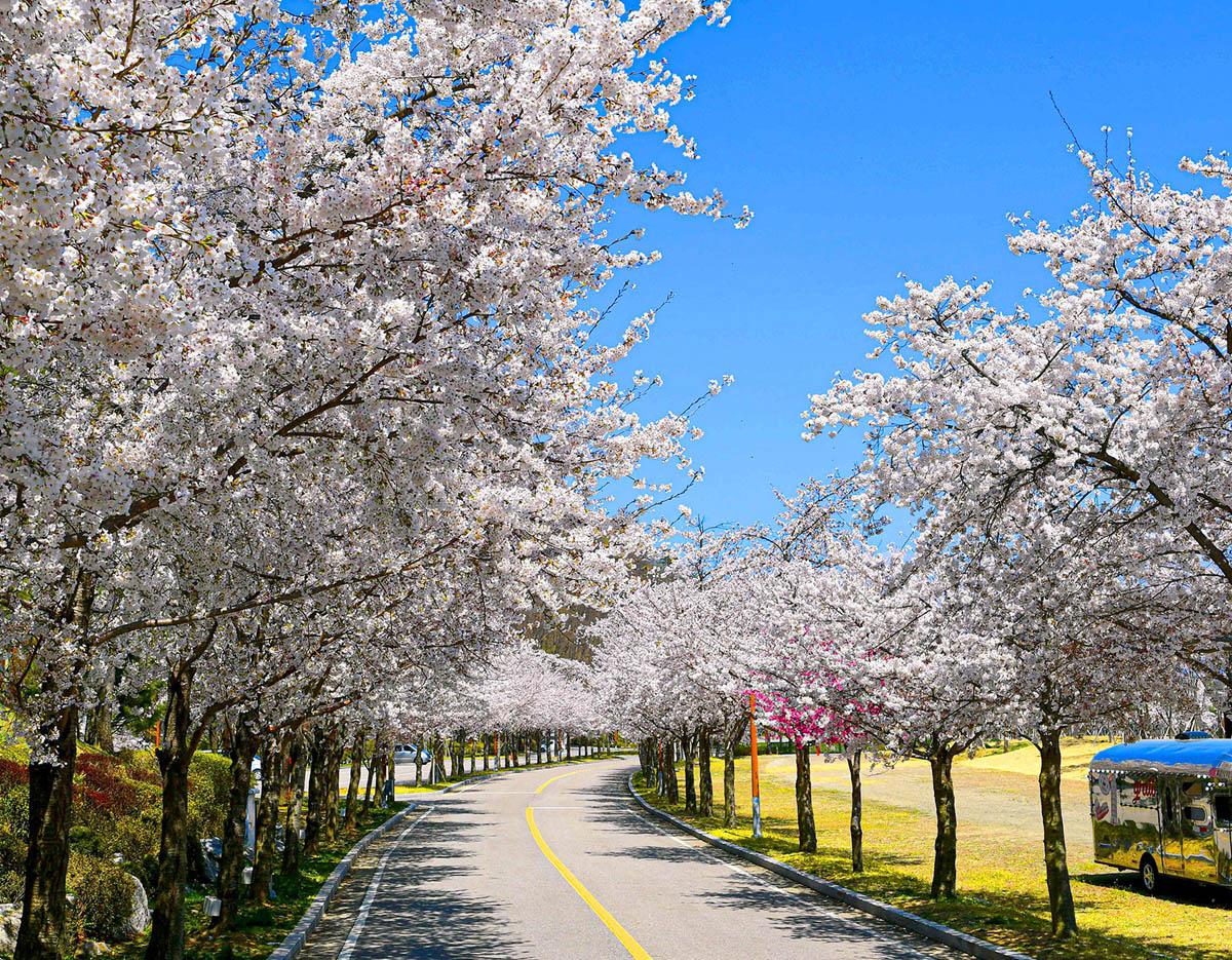 Vivaldi Park
