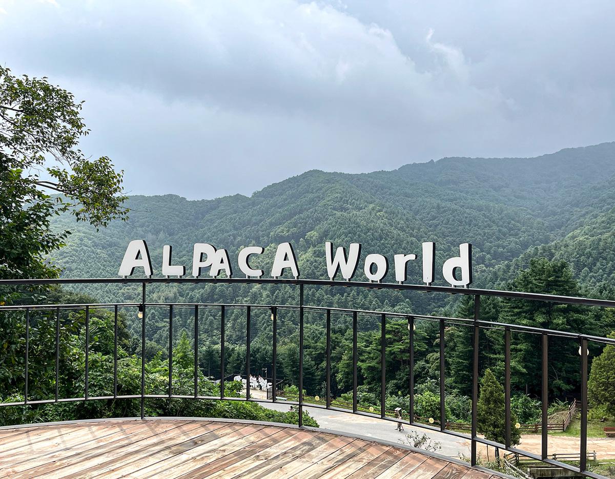 Alpaca World