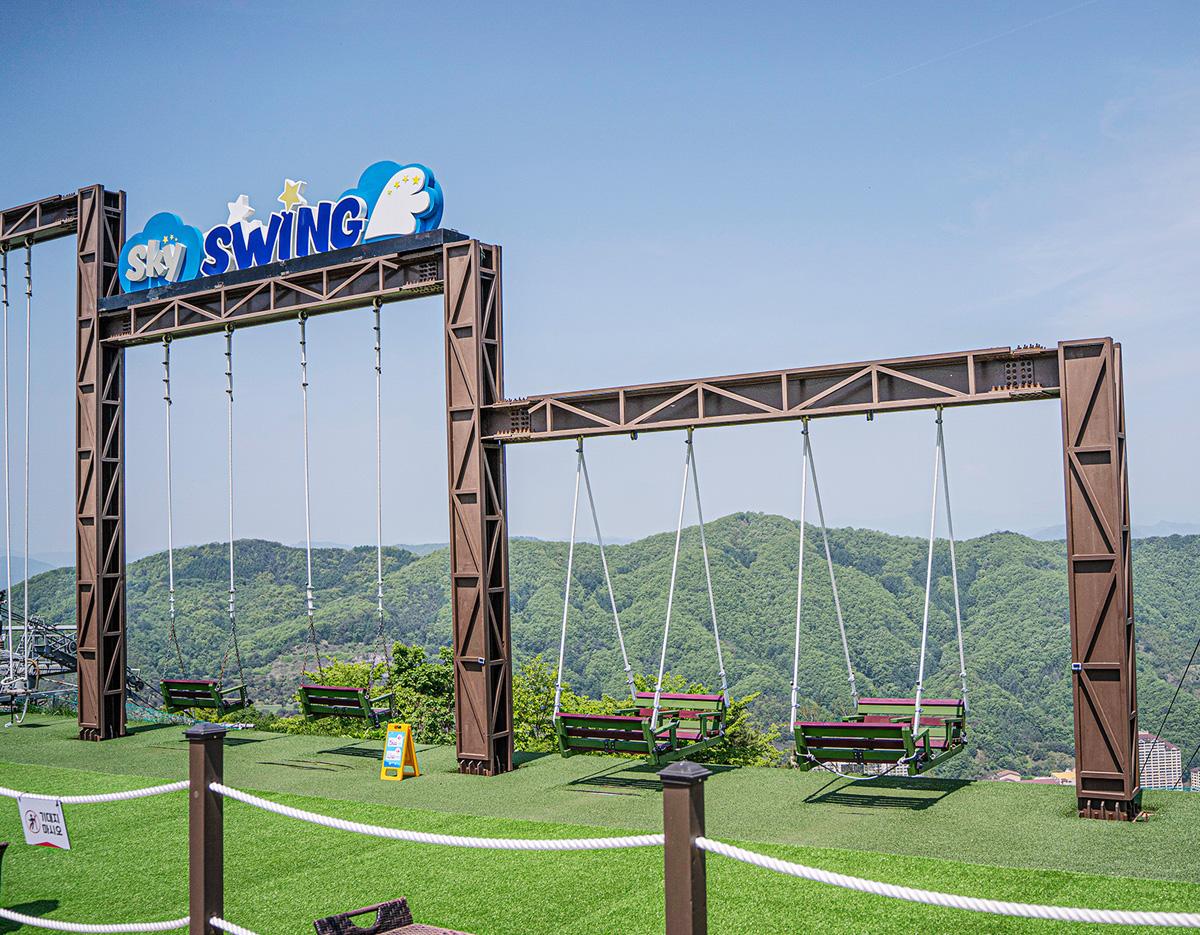 Sky Swing
