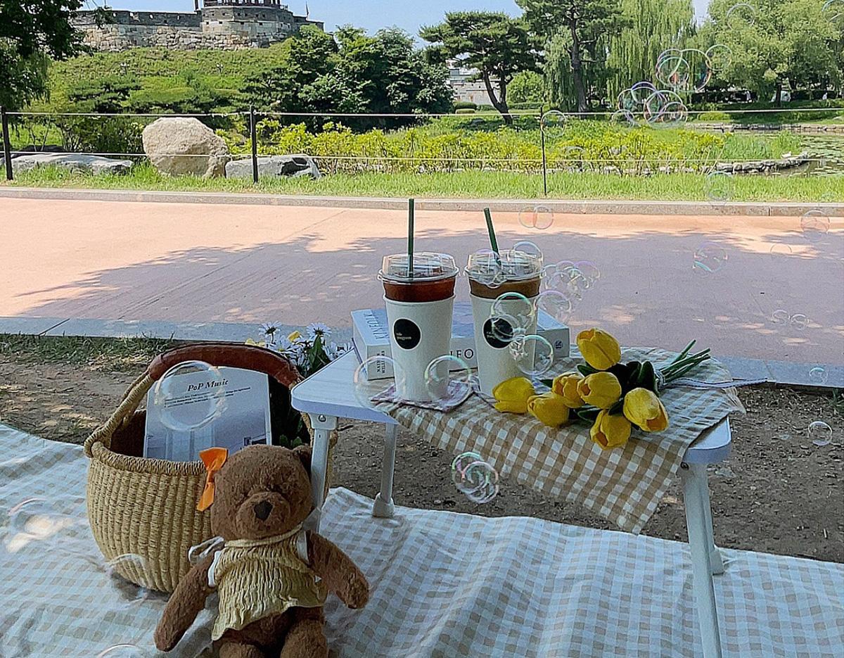 picnic