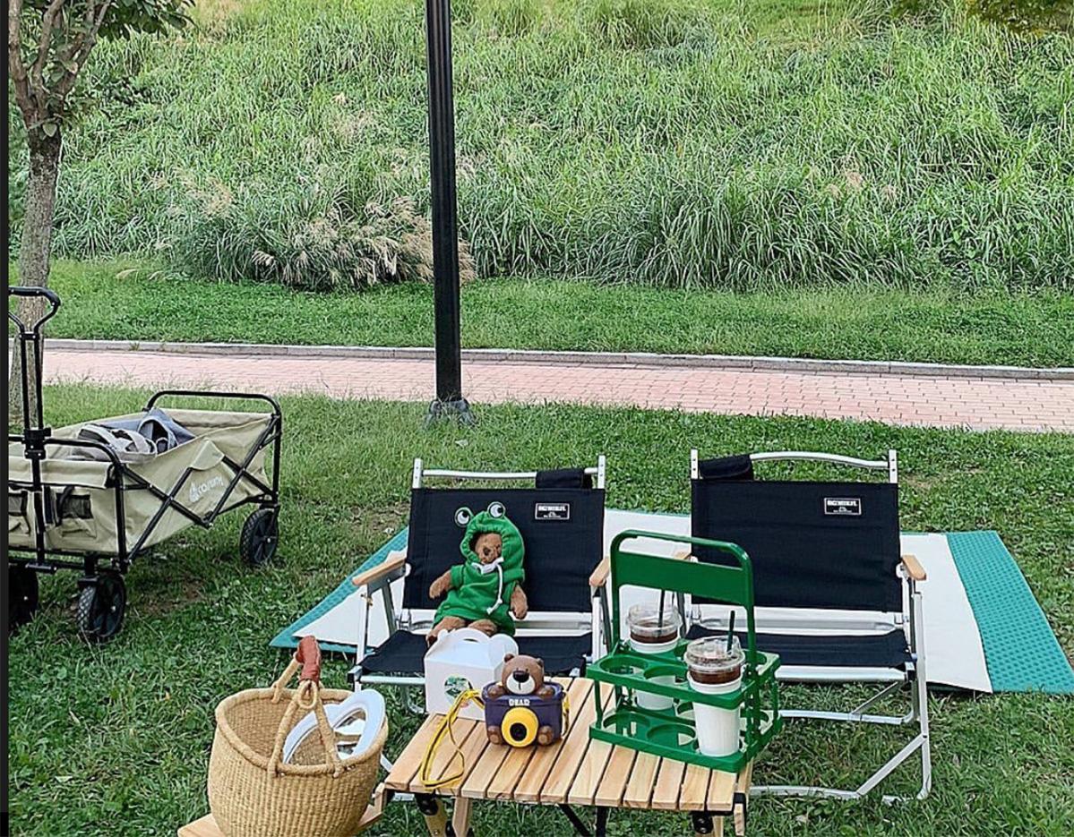 picnic