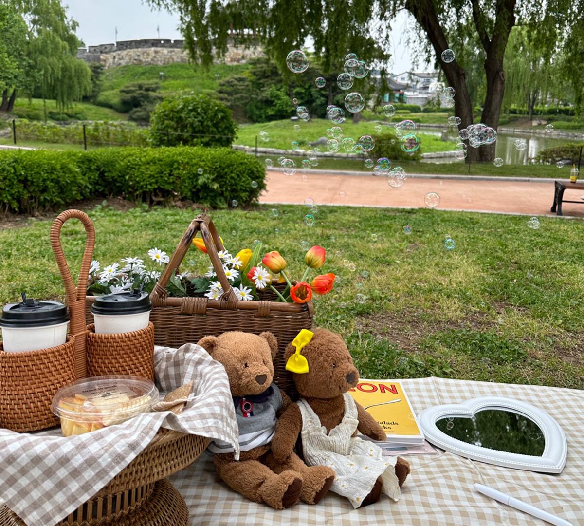 picnic