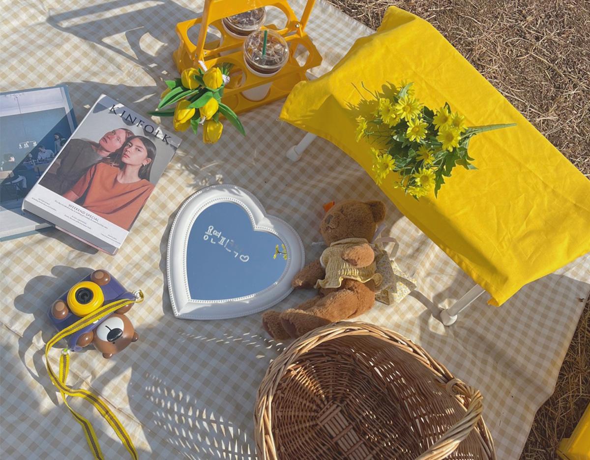 picnic
