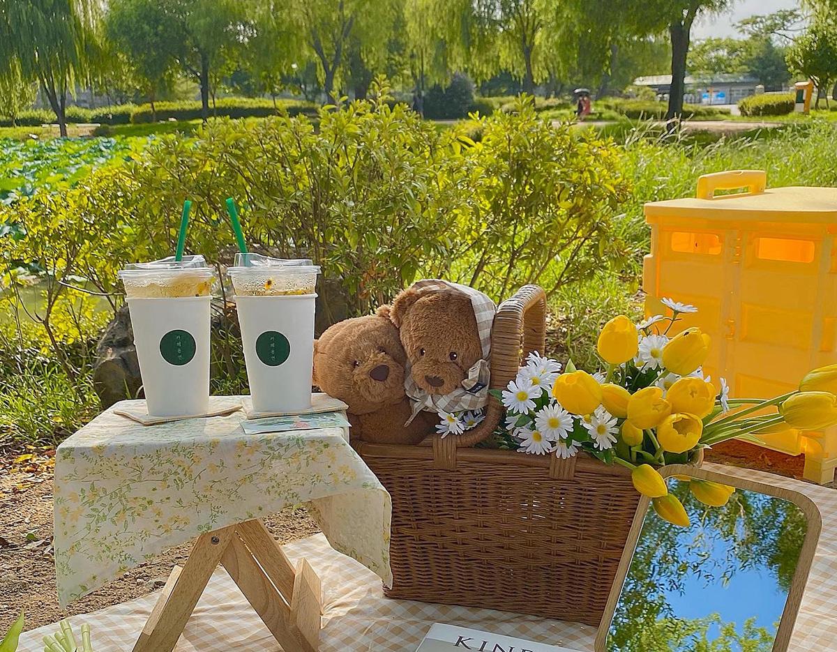 picnic