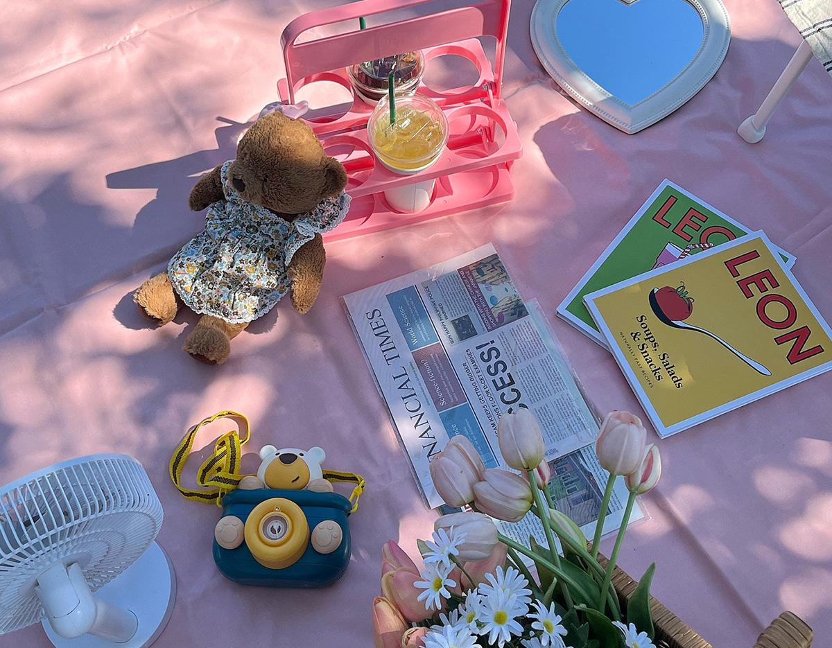 picnic