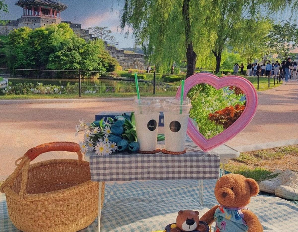 picnic