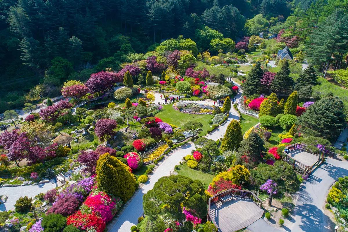 Nami Island + The Garden of Morning Calm + Alpaca World + Rail Bike + Petite France + The Stay Healing Park Starlight Garden | Seoul Departure