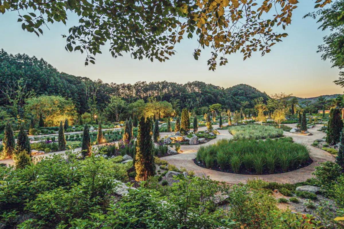 Nami Island + The Garden of Morning Calm + Alpaca World + Rail Bike + Petite France + The Stay Healing Park Starlight Garden | Seoul Departure