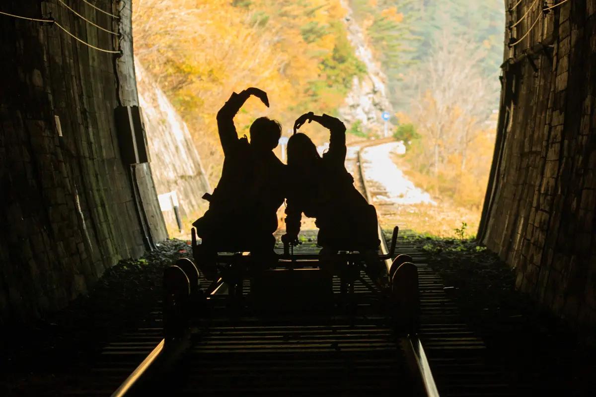 Nami Island + The Garden of Morning Calm + Alpaca World + Rail Bike + Petite France + The Stay Healing Park Starlight Garden | Seoul Departure