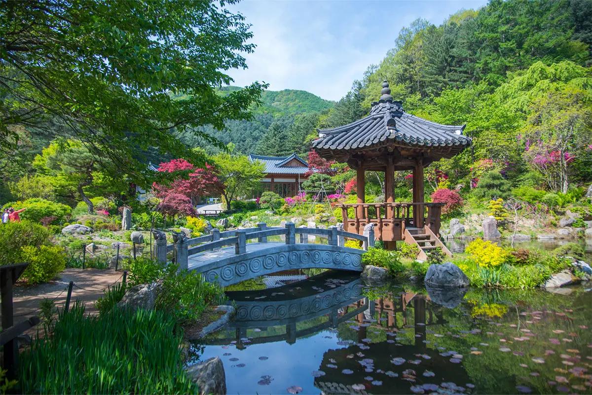 Nami Island + The Garden of Morning Calm + Alpaca World + Rail Bike + Petite France + The Stay Healing Park Starlight Garden | Seoul Departure