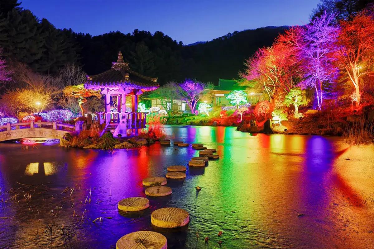 Nami Island + The Garden of Morning Calm + Alpaca World + Rail Bike + Petite France + The Stay Healing Park Starlight Garden | Seoul Departure
