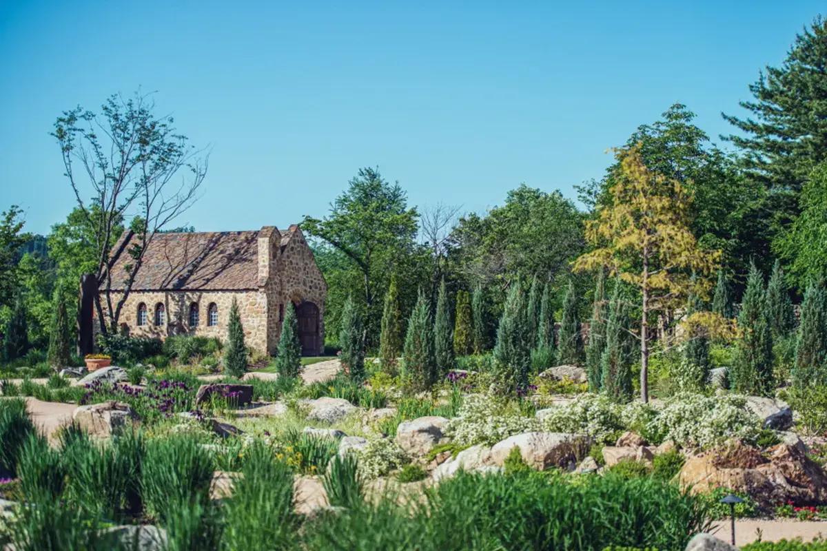 Nami Island + The Garden of Morning Calm + Alpaca World + Rail Bike + Petite France + The Stay Healing Park Starlight Garden | Seoul Departure