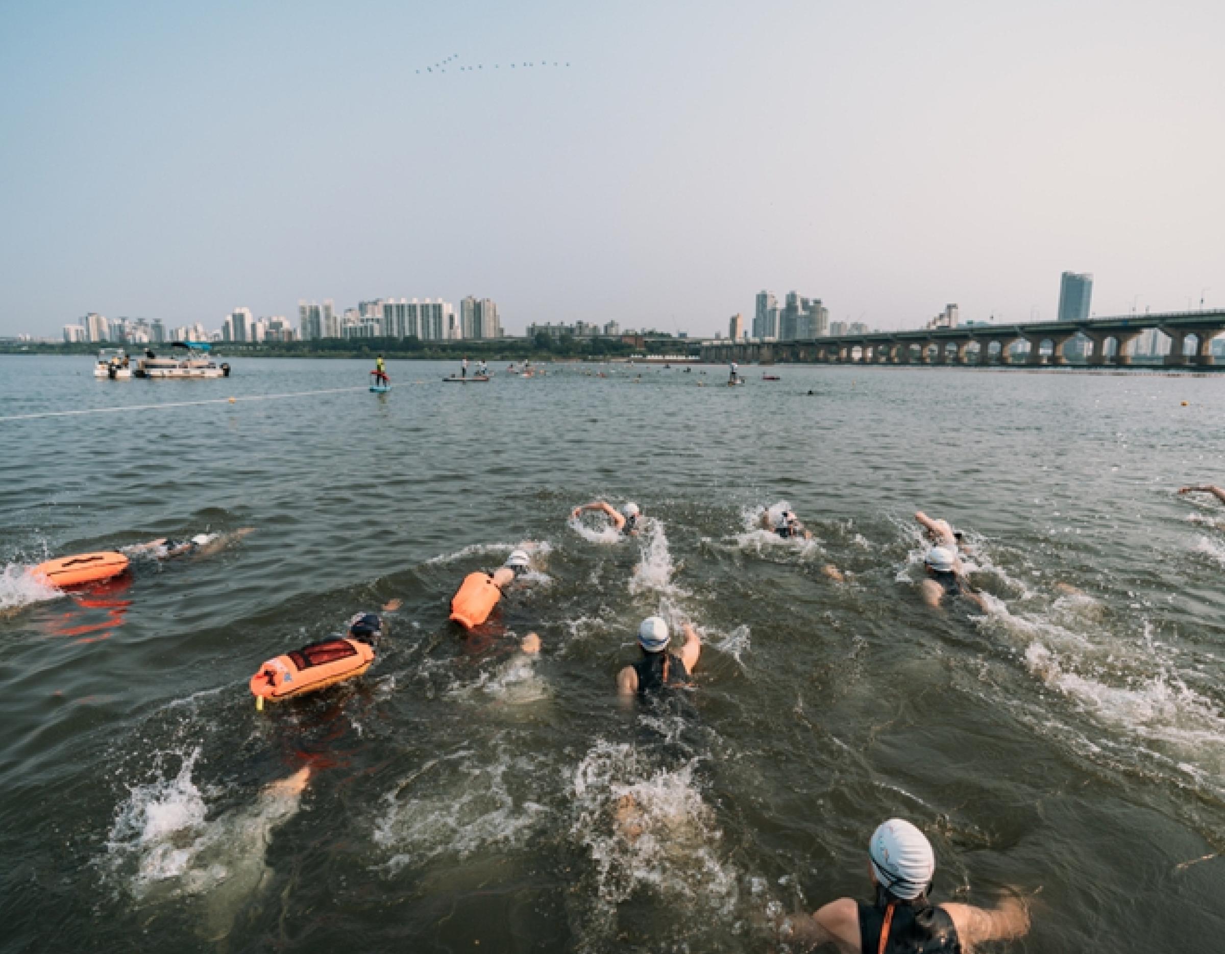 Participants in swim caps and safety buoys swimming across the Han River with a city skyline and bridge in the background