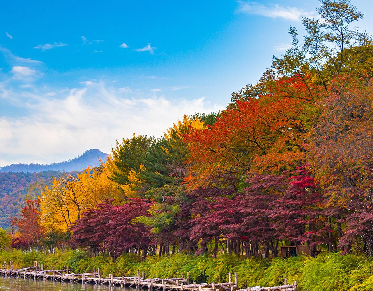 Nami Island