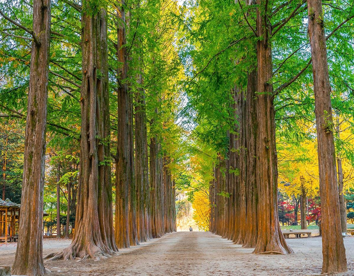 Nami Island