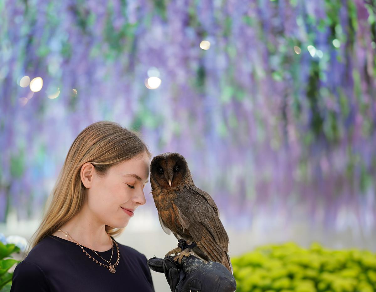 Gapyeong Begonia Bird Park