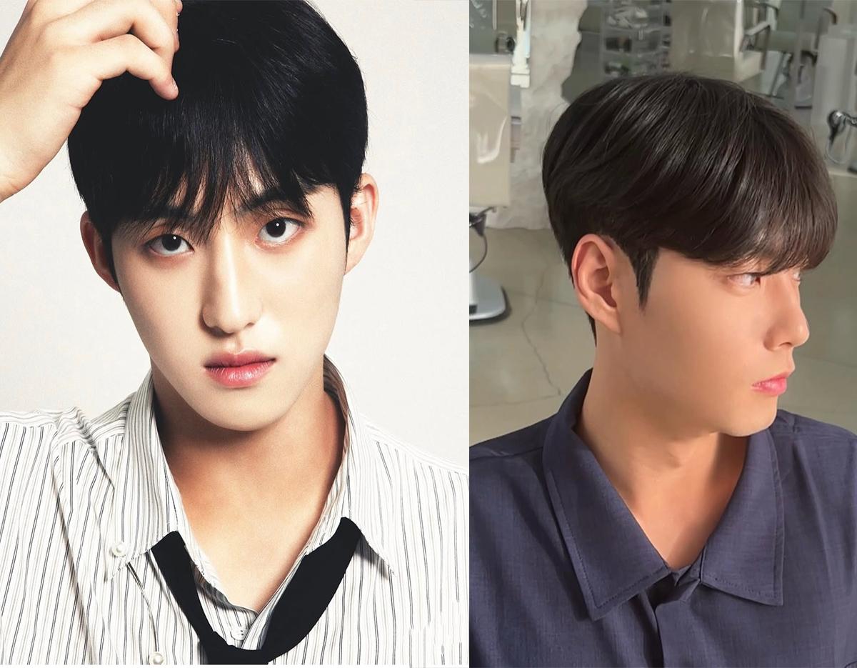 Moreon hair