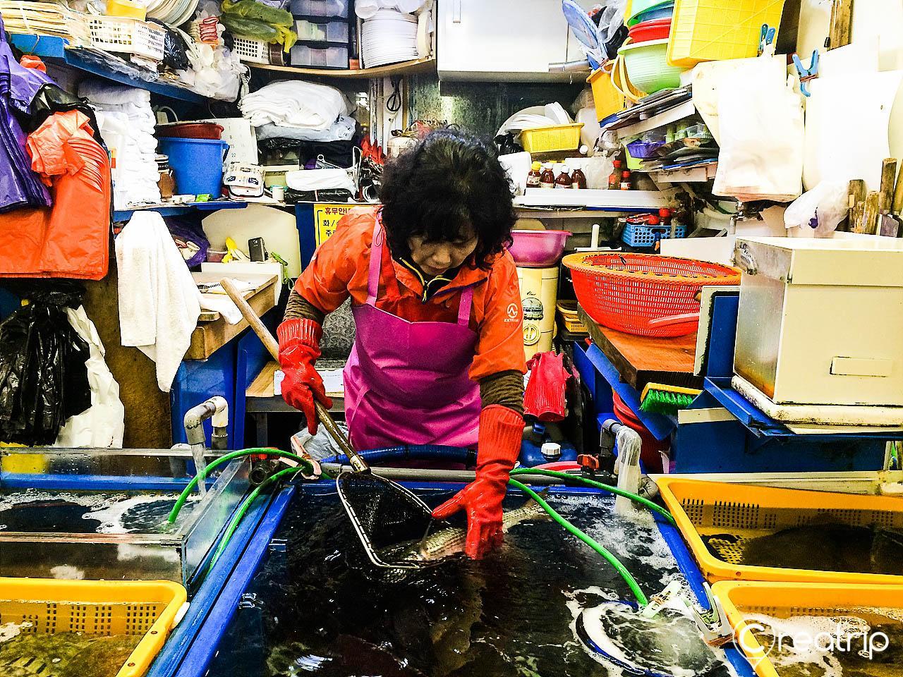 Millak Raw Fish Market image 2