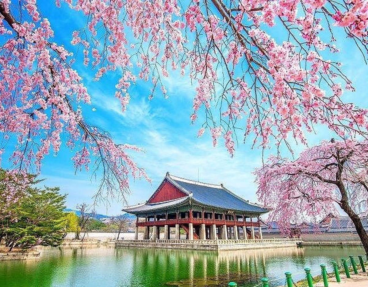 Gyeongbokgung & Insa-dong Food Tour