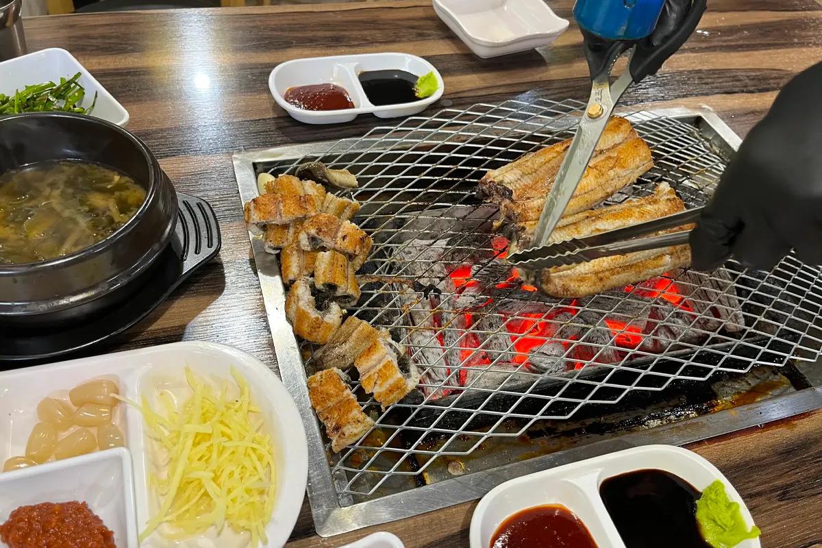 풍천장어