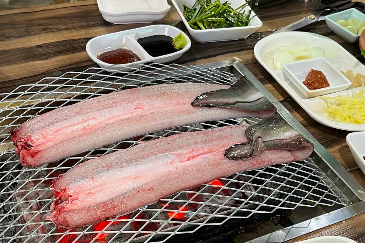 풍천장어