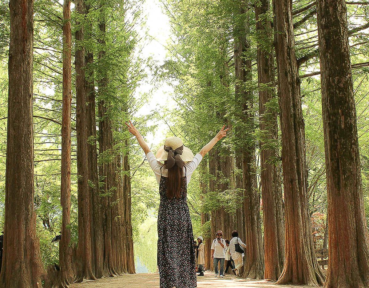Nami Island + Elysian BBQ  Day Tour from Seoul