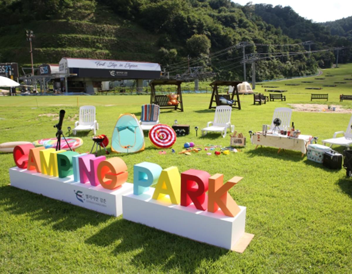 Nami Island + Elysian BBQ  Day Tour from Seoul