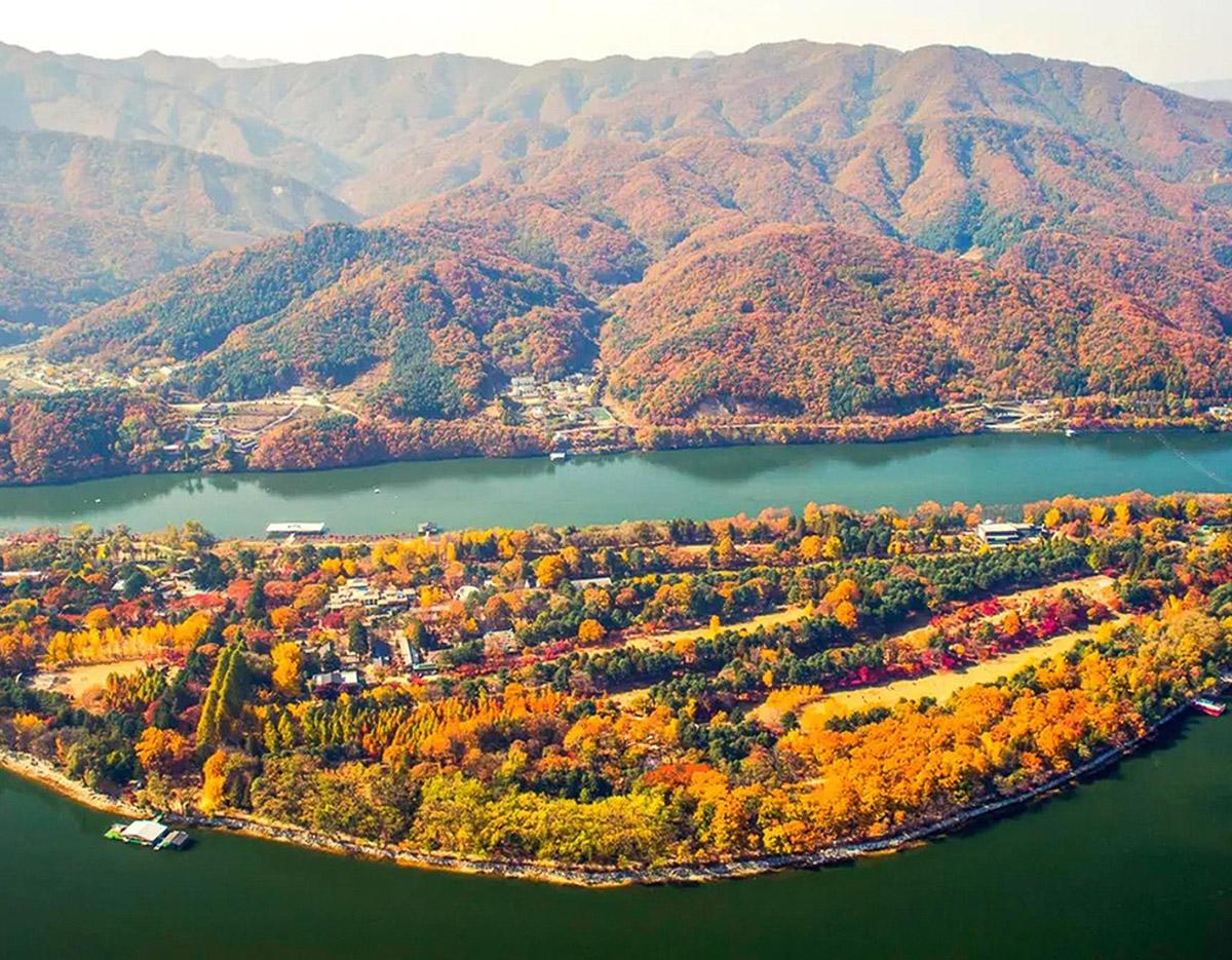 Nami Island + Elysian BBQ  Day Tour from Seoul