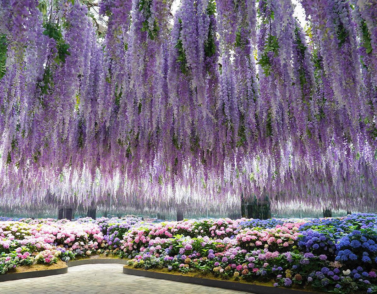 Nami Island + Gapyeong Begonia Bird Park One Day Tour