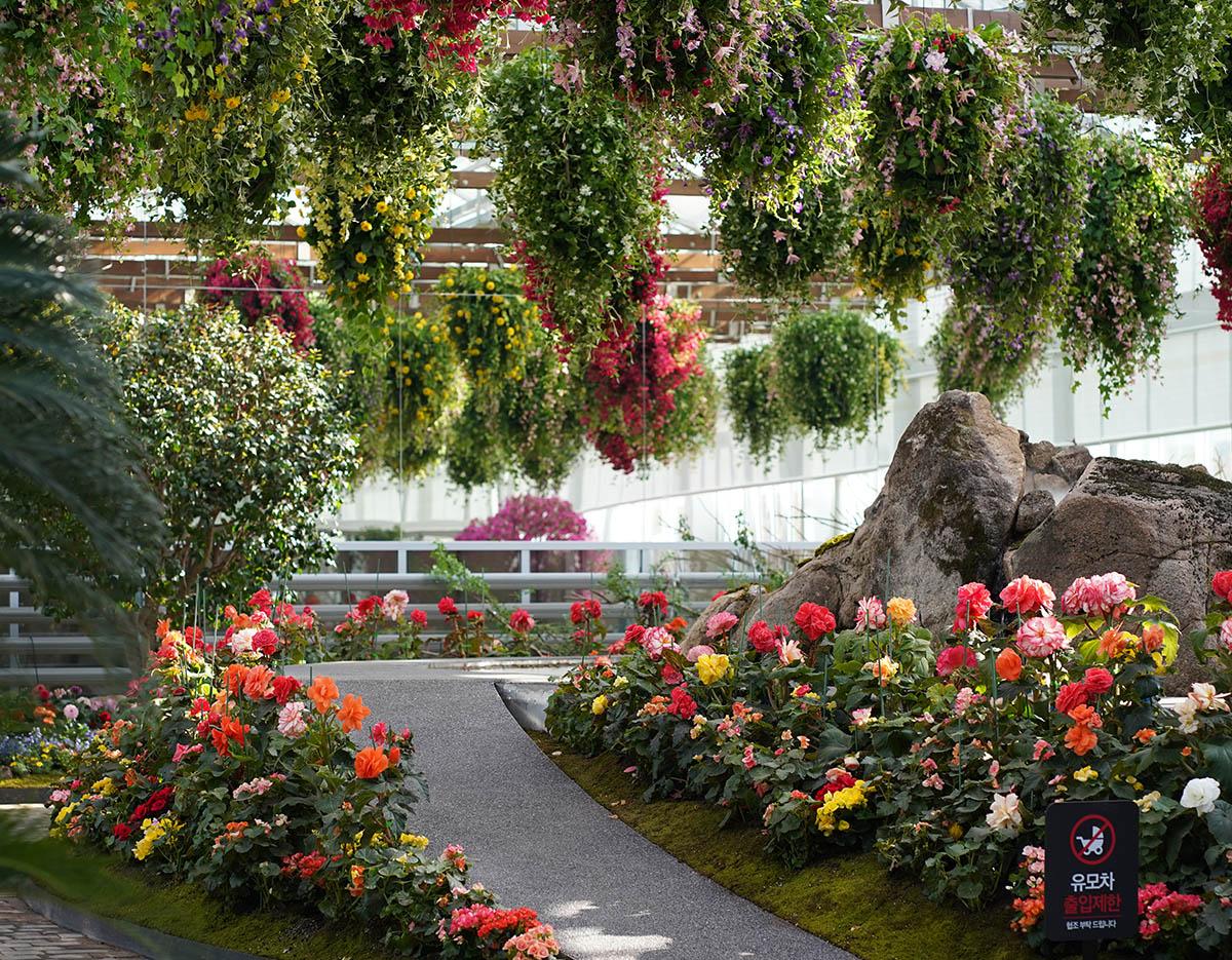 Nami Island + Gapyeong Begonia Bird Park One Day Tour