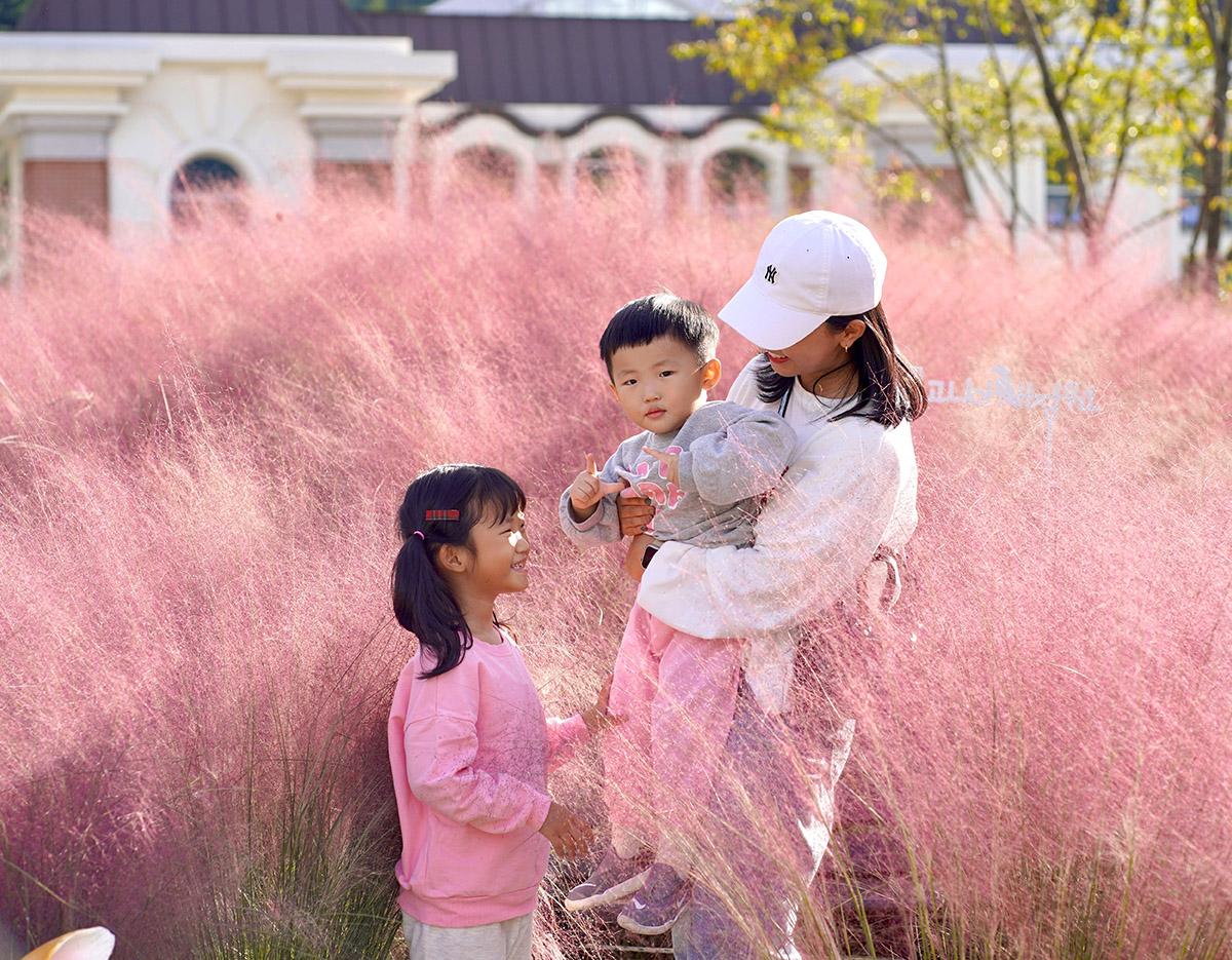 Nami Island + Gapyeong Begonia Bird Park One Day Tour